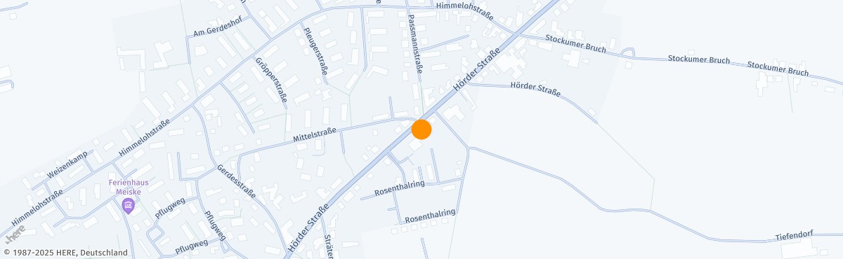 Stefanie Mielsch, Heilpraktiker*in