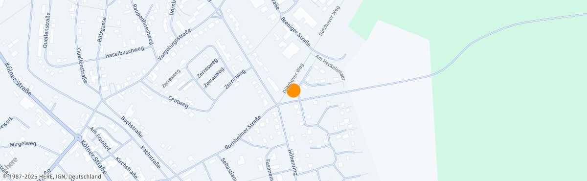 Claudia Bräuer, Heilpraktiker*in