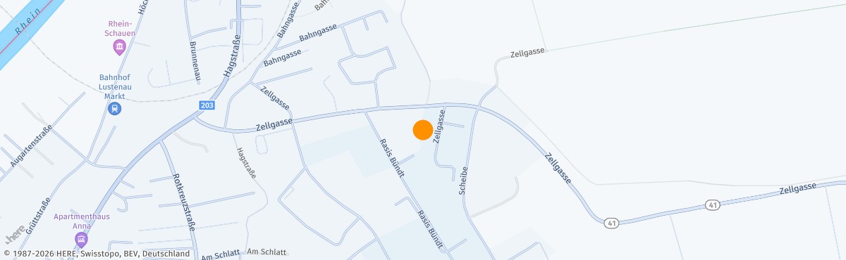 Alexander Konzett, Coach